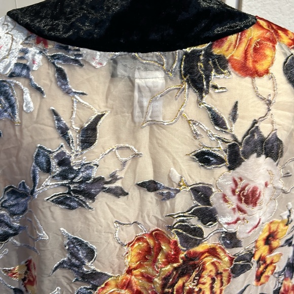 RD & Koko Velvet Rose Sheer Kimono - Picture 5 of 8